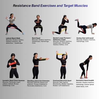Mini Loop Resistance Bands Set (5 Levels)